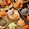 27 Pieces Fall Thanksgiving Maple Leaf Hanging Ornaments Felt 3D Fall Decoration Harvest Fall Leaves Farmhouse Decorations for Tree Festival Party Supplies(Maple Leaf Style)